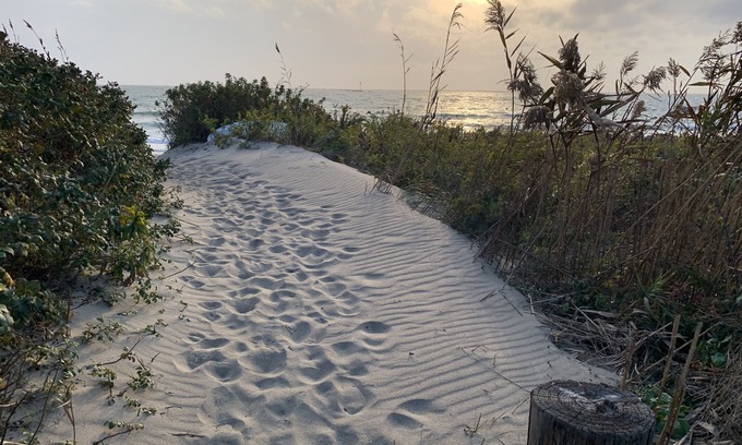 Breakwater Village Cottage | Cozy Cottage - Ocean Views- Steps away from private beach