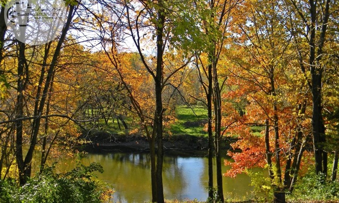 Viola Cottage | Cozy Historic Waterfront Cottage