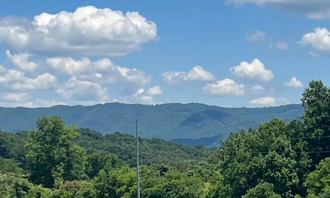 Newport House | Cozy home with Mountain Views! Pet friendly!