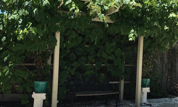 Temecula House | Cozy House, Huge Backyard, the heart of Temecula