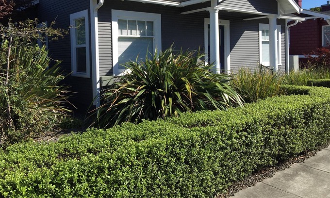 Eureka House | Cozy house in Central Eureka Location