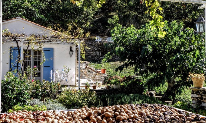 Courniou House | Cozy house with swimming pool surrounded by nature's beauty