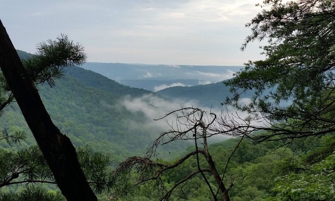 Sequatchie Cabin | Cozy in the woods, your starting point for adventure or relaxation.