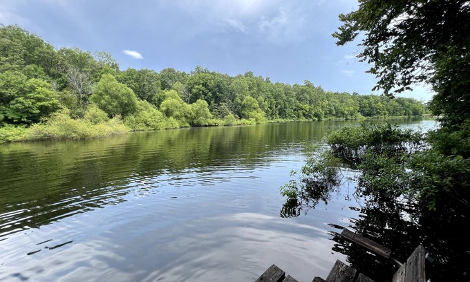 Myrtle House | Cozy Lakefront Home - Fire Pit - Fishing