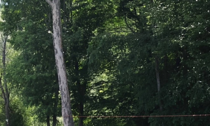 Randolph House | Cozy log home on Amish Trail in Cattaraugus County