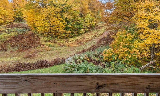 Bolton Valley Condo | Cozy mountain condo w/patio views & fireplace