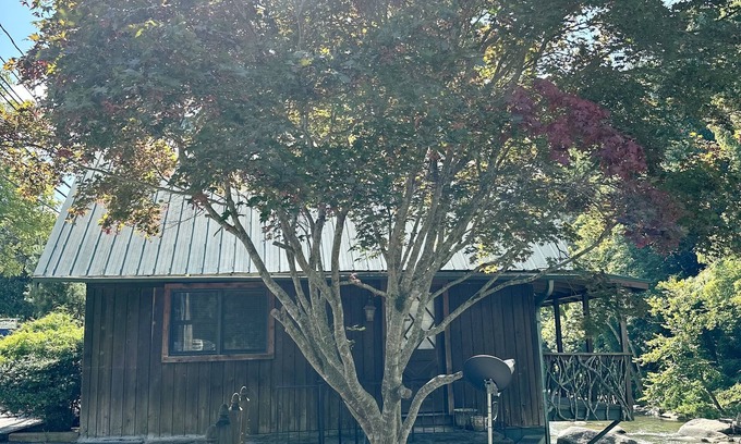 Bat Cave Cabin | Cozy River Cabin with river access and minutes from Chimney Rock state park