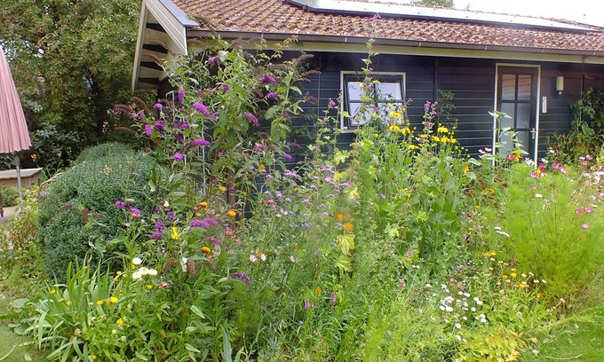 Idsegahuizum House | Cozy "Schwedenhaus" with a beautiful view, located on the water