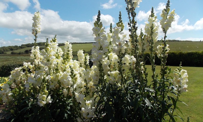 Caergeiliog Bed & Breakfast | Craig Eithin B & B Holyhead