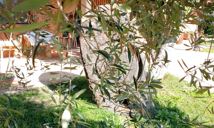 Oristano Bed & Breakfast | CuccuruAio' B&B