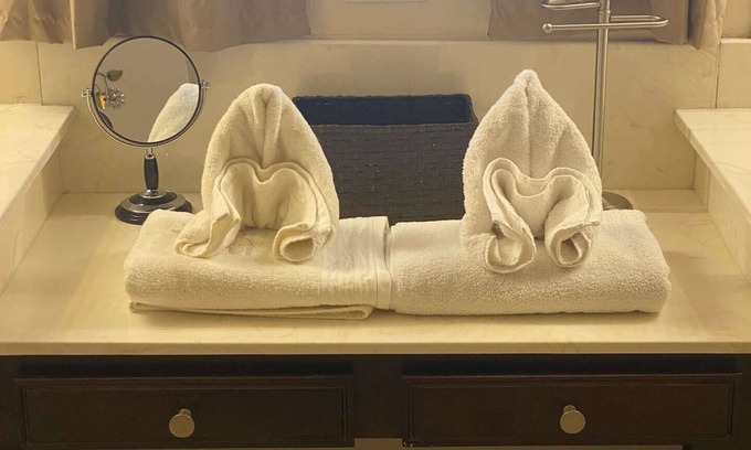 Roosevelt Park House | Custom home with 5 Beds & 5.5 Baths! A heated pool & spa make the backyard feel like a resort