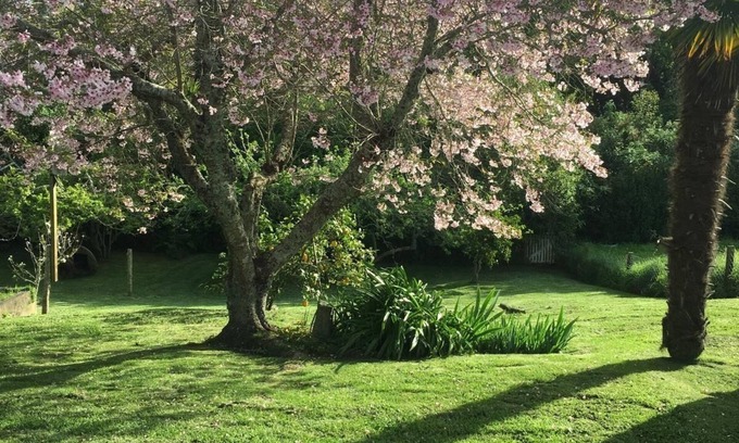 Westmere House | Cute, Cottagey and Central! Spacious, lovely indoor outdoor flow to great garden