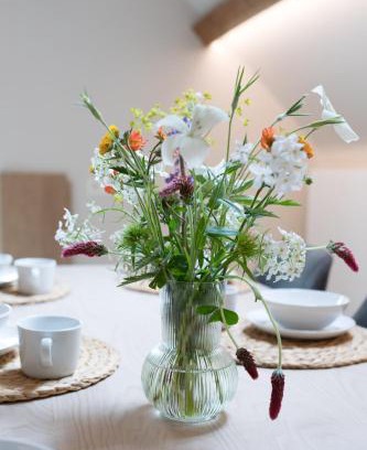 Kalle House | Cuypershof