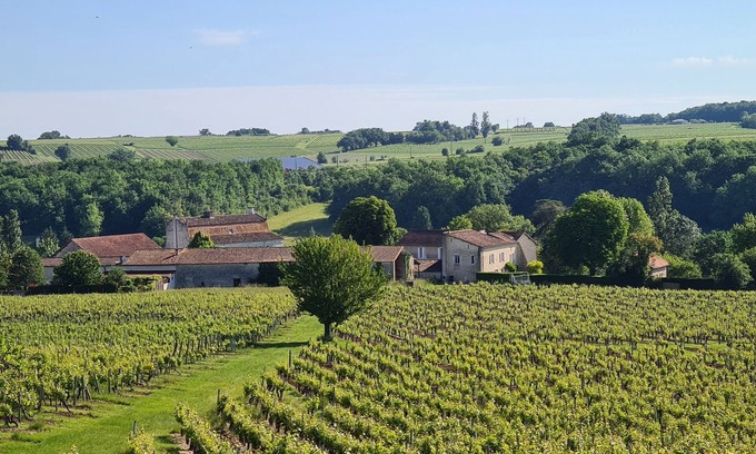 Les Leves-et-Thoumeyragues Bed & Breakfast | Dépendance Dans un Château des 15ème et 16ème Siècles