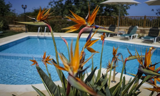 Gerani Villa | Dafni - Gerani Villas With private pooi