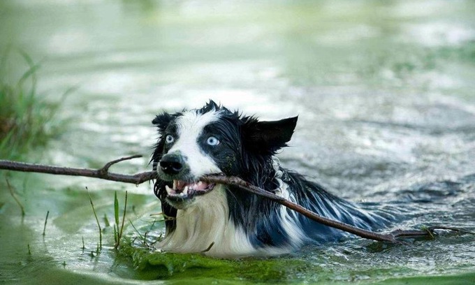 Bergville House | Dalmore Guest Farm