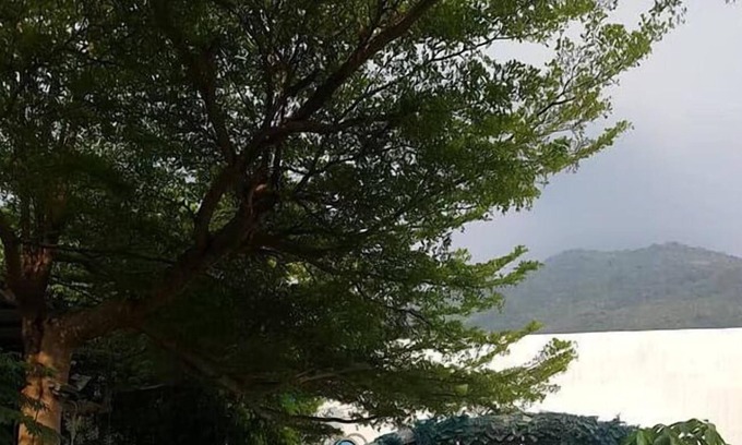 Liugui District Bed & Breakfast | Dao fashion villa