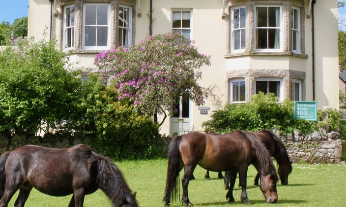 Belstone Bed & Breakfast | Dartmoor House B&B