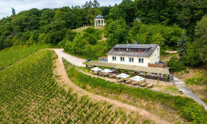 Mainz-Bingen Apartment | das Rebenhaus