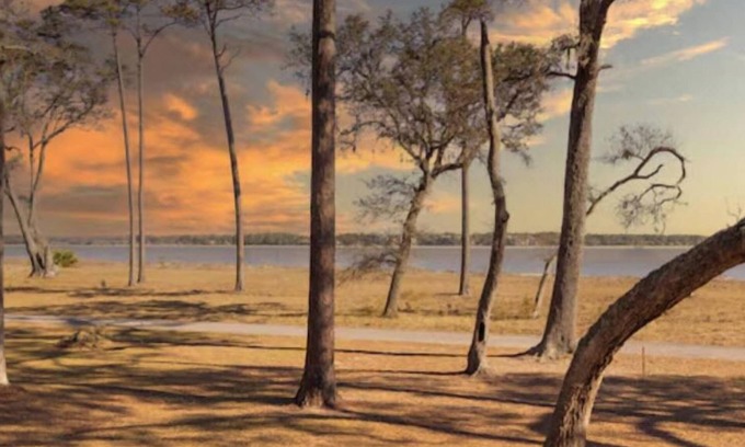 Melrose on the Beach House | Daufuskie Island Oceanfront Retreat