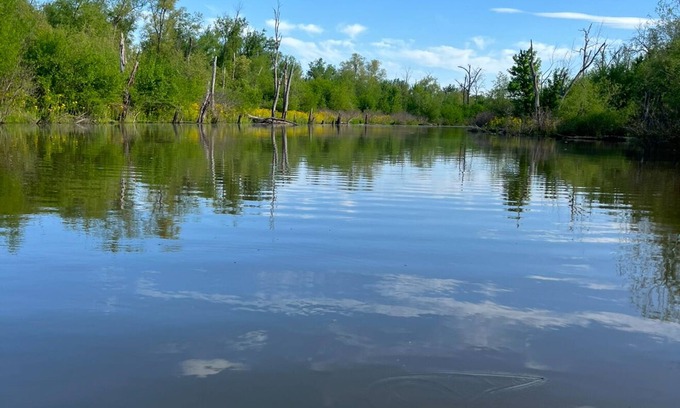 Mozier Cabin | Dave’s River House