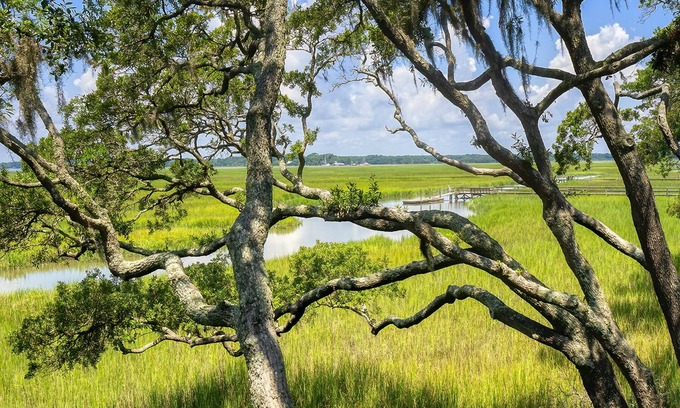Seabrook Island House | Dazzling Sunsets! Sleeps 4+! Pet Friendly! Amenity Cards Available!