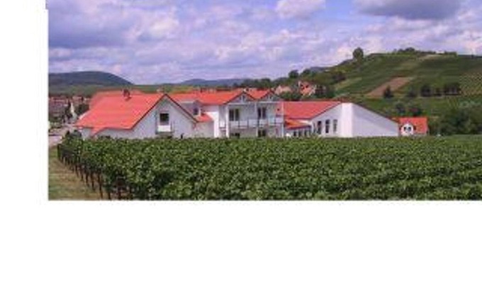 Ilbesheim Bed & Breakfast | 2-bed apartment "2a" - Weingut-Gästehaus Hans Dieter Bosch