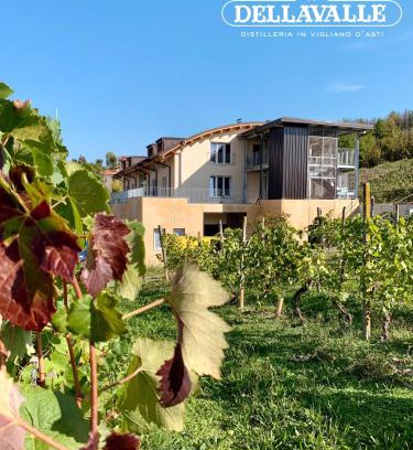 Vigliano d'Asti House | Dellavalle Guest House