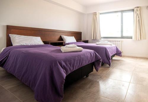 Anelo Apartment | departament en Añelo Neuquen