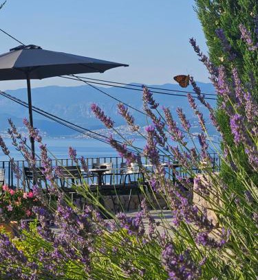 Vrbnik Hotel | DESIGN hotel VERBENICUM