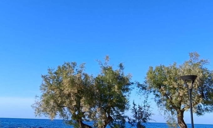 Villanova House | Detached house 20 meters from the sea