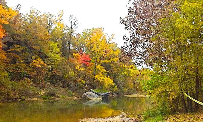 Boswell Cabin | DISCOUNTED! WATERFRT CABIN ON PINEY CREEK-GORGEOUS-SECLUDED-BONUS O/S HOT SHOWER