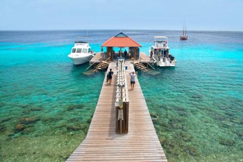 Playa Resort | Divi Flamingo Beach Resort