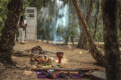 Tulum City Center Resort | Divine Embodi Retreat