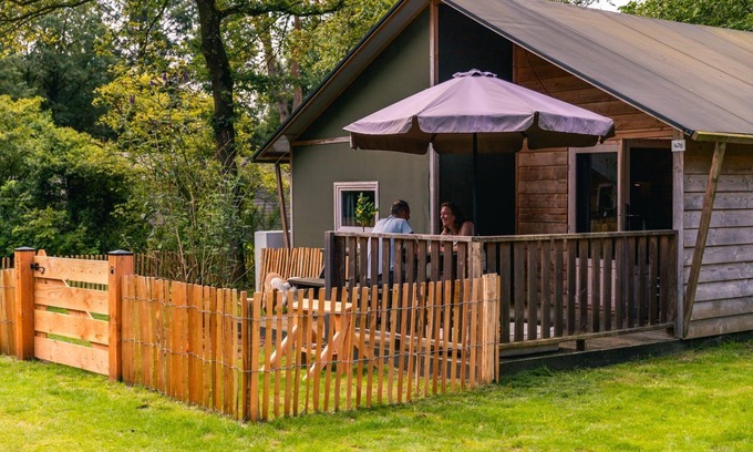 Ruinen Cabin | Dog Lodge 6