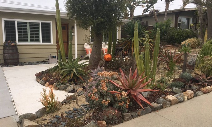 Encinitas House | Dogs are FREE🐾