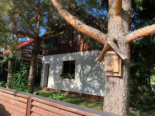 Gizycko House | Dom nad jeziorem Tajty