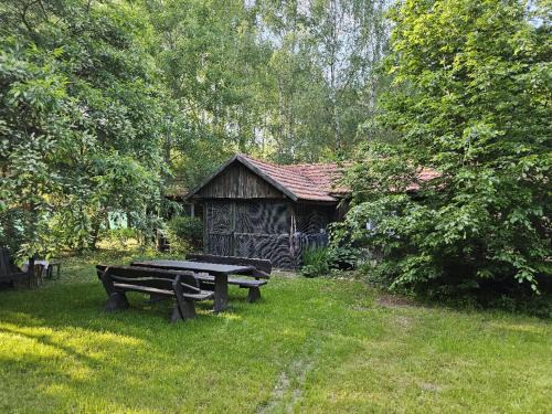 Warlubie House | Dom Pod Brzozami Lipinki Bory Tucholskie basen - psy, koty mile widziane!