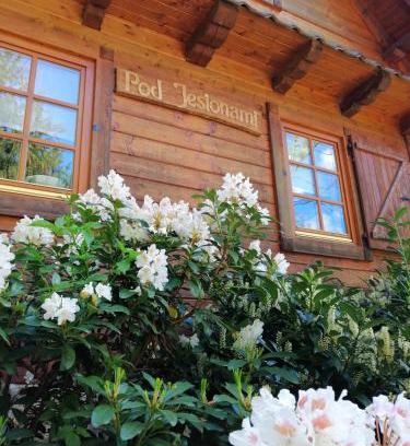 Ochotnica Dolna Ski Chalet | Dom pod Jesionami