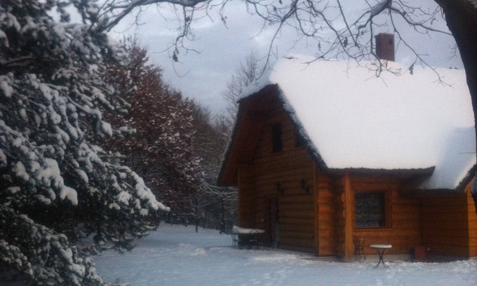 Gryzyna House | DOM POD SOSNAMI
