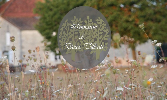 Saint-Georges-du-Bois House | Domaine des Deux Tilleuls - Gîte Écologique "La Cabane du Verger"