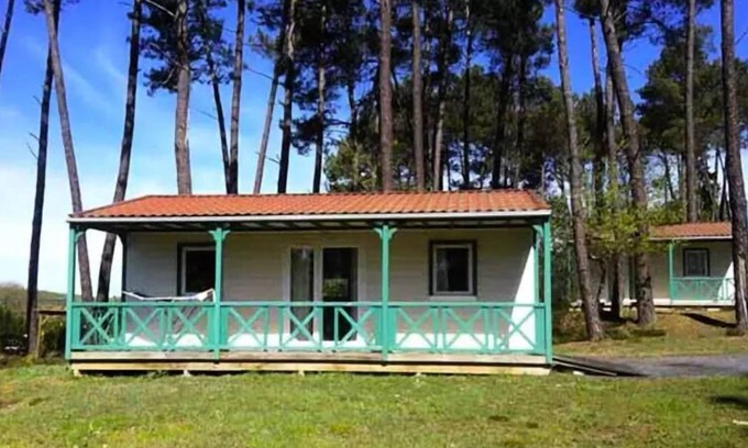 Tamnies Ski Chalet | Domaine des Grands Pins * - Chalet for disabled people 4 people