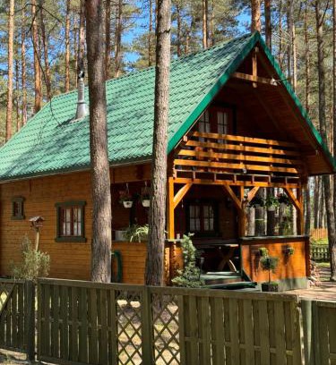 gmina Karsin Cabin | Domek Borsk
