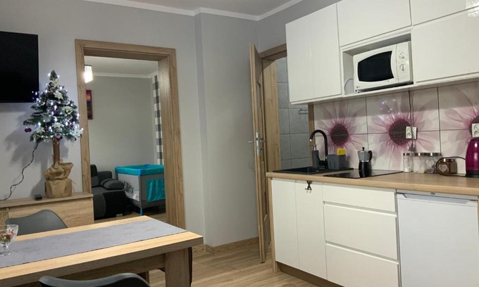 Muszyna Apartment | Domek na Wzgórzu