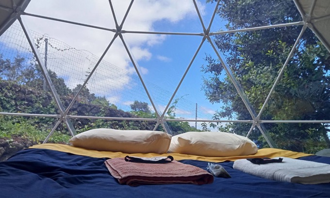 Angra do Heroismo House | Domes Criptoméria - Angra do Heroísmo - Azores