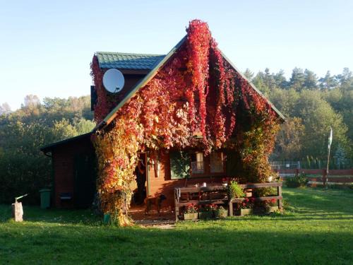 Sarbsk Cabin | Domki Karaibskie
