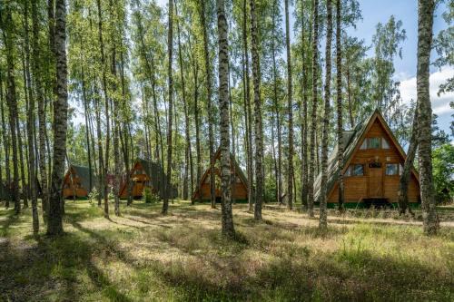 Wdzydze Kiszewskie Cabin | Domki letniskowe w lesie nad jeziorem - Kaszuby, Ośrodek Wczasowy KLIF