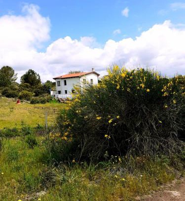 Uri House | Domo in Pianos