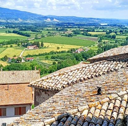 Castiglione in Teverina House | Domus Claudia
