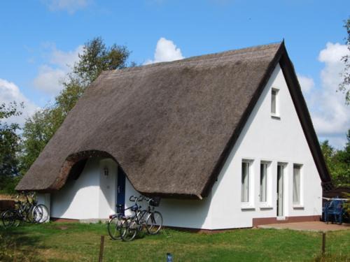 Hiddensee Apartment | Doppelhaushälfte in Vitte auf Hiddensee